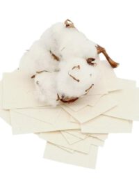 Naturbaumwolle unbedruckt (Blanko)